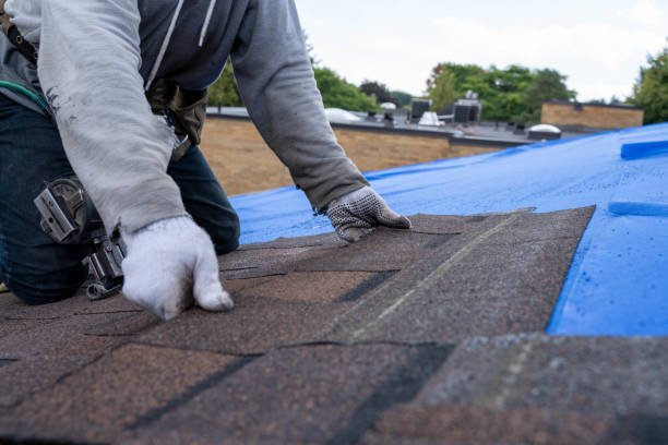 Best Affordable Roofing Company  in St Leo, FL