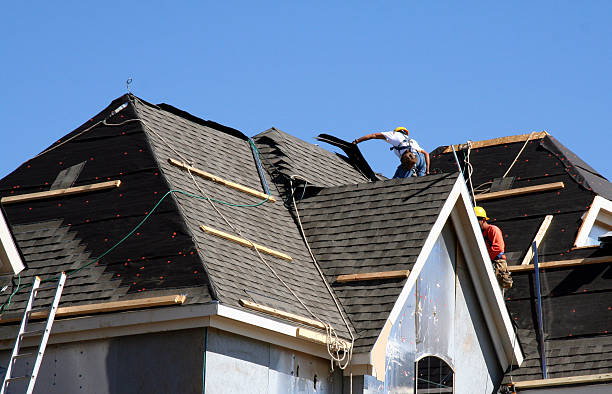 Best Local Roofing Companies  in St Leo, FL