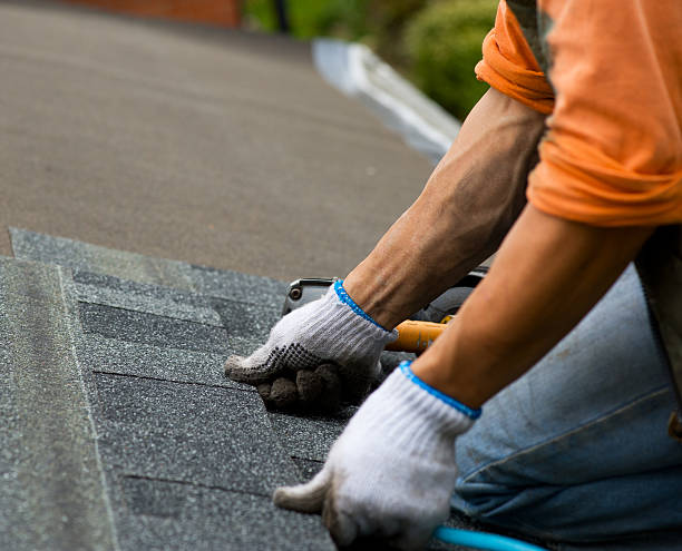Quick and Trustworthy Emergency Roof Repair Services in St Leo, FL