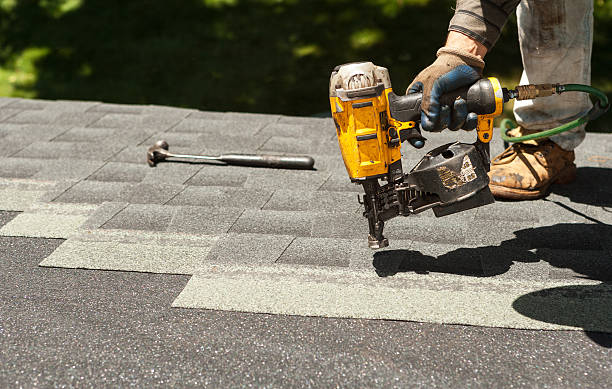 Best Roof Gutter Cleaning  in St Leo, FL