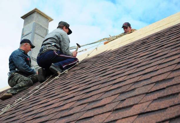 Best Residential Roofing Contractor  in St Leo, FL